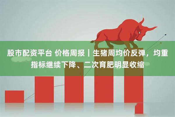 股市配资平台 价格周报｜生猪周均价反弹，均重指标继续下降、二次育肥明显收缩