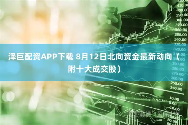泽巨配资APP下载 8月12日北向资金最新动向（附十大成交股）