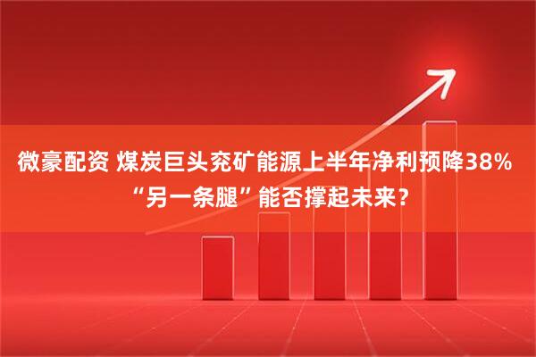 微豪配资 煤炭巨头兖矿能源上半年净利预降38% “另一条腿”能否撑起未来？