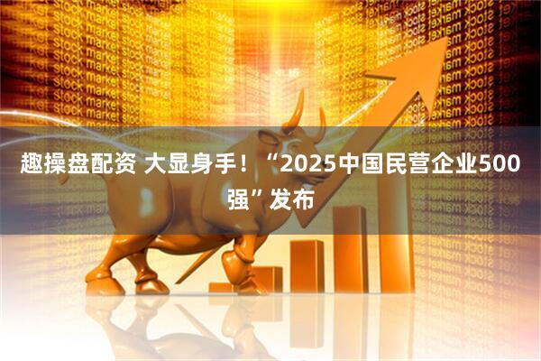 趣操盘配资 大显身手！“2025中国民营企业500强”发布